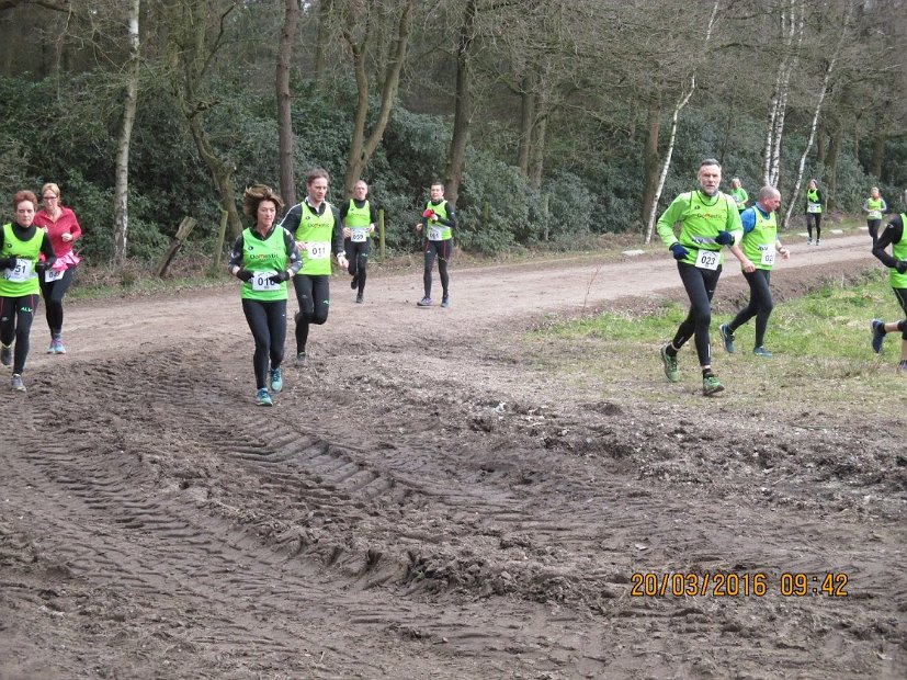 Bosloop Brecht - 38